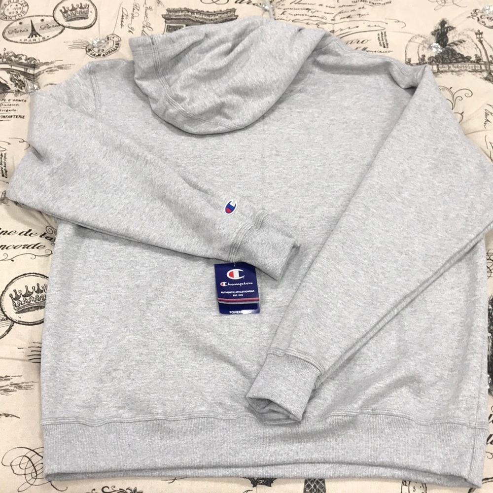 Champion Men's Powerblend Fleece Hoodie - Picture 4 of 9